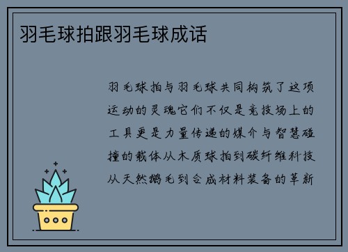 羽毛球拍跟羽毛球成话